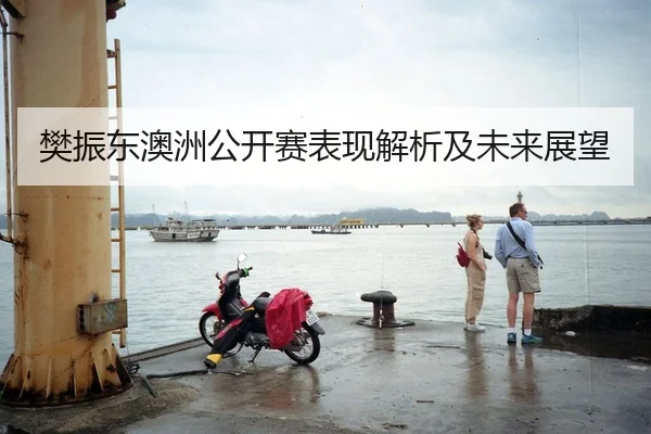 樊振东澳洲公开赛表现解析及未来展望